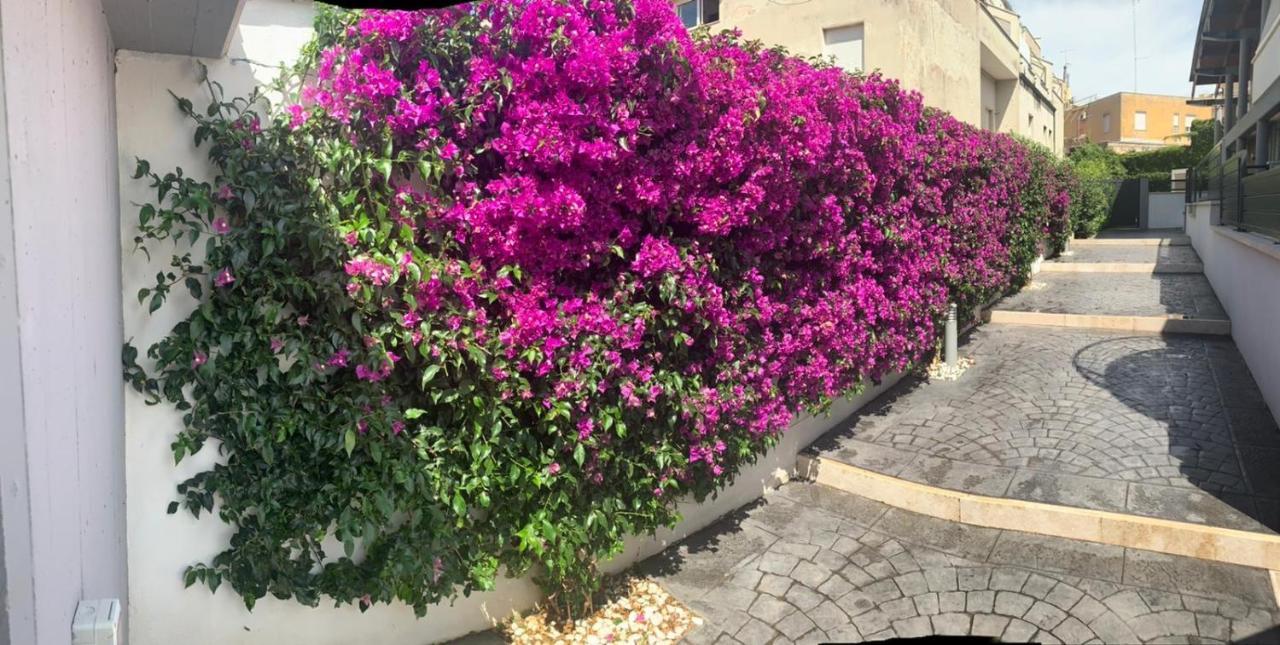 The Shabby House - Charming Seaside Retreat In Central Anzio, Steps From Beach And Train Station 外观 照片