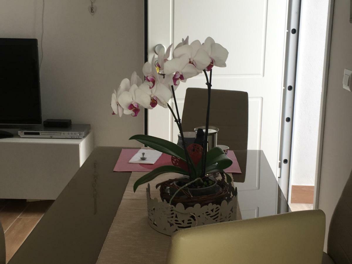 The Shabby House - Charming Seaside Retreat In Central Anzio, Steps From Beach And Train Station 外观 照片